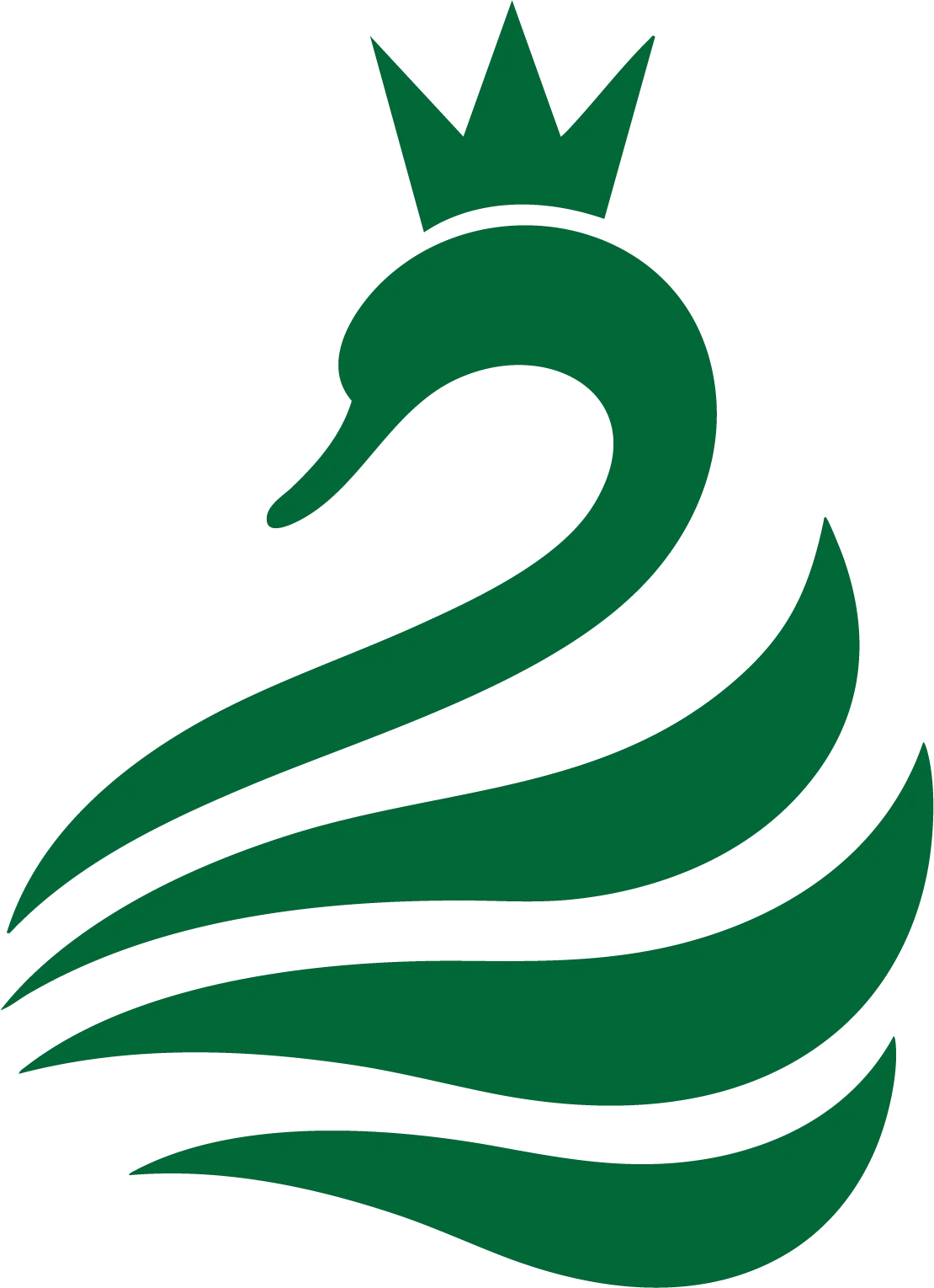 Artboard 2 1.webp
